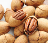 טיפול קוסמטי: אגוז טעים לפיצוח-תמונה